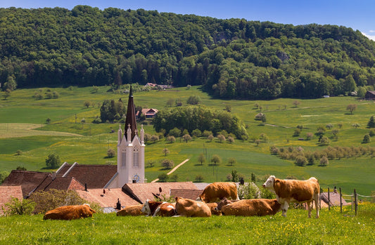 Landleben 2.0: Warum immer mehr junge Leute zurück aufs Land ziehen